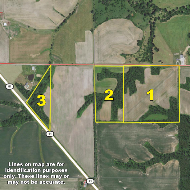 McAfee Hayes Auction Service