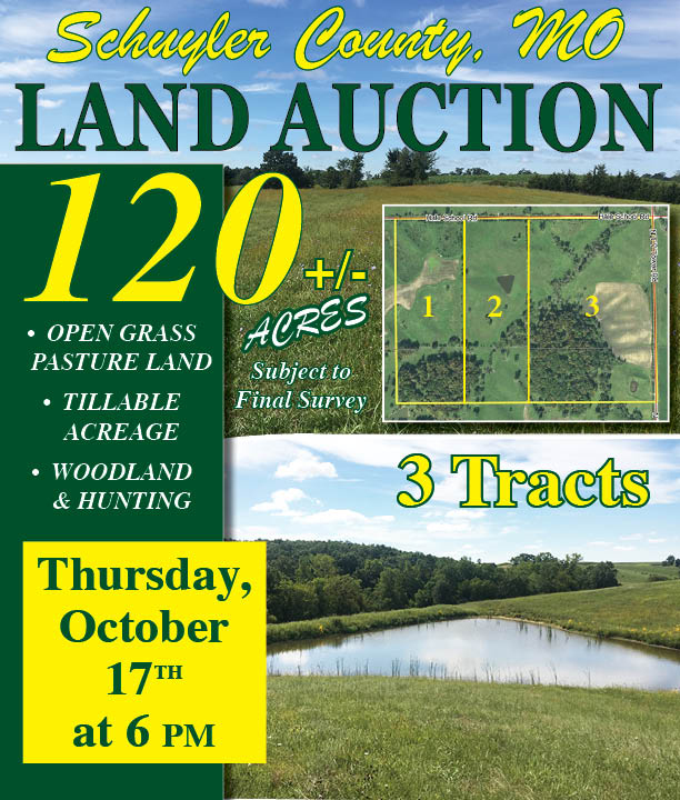 McAfee Hayes Auction Service