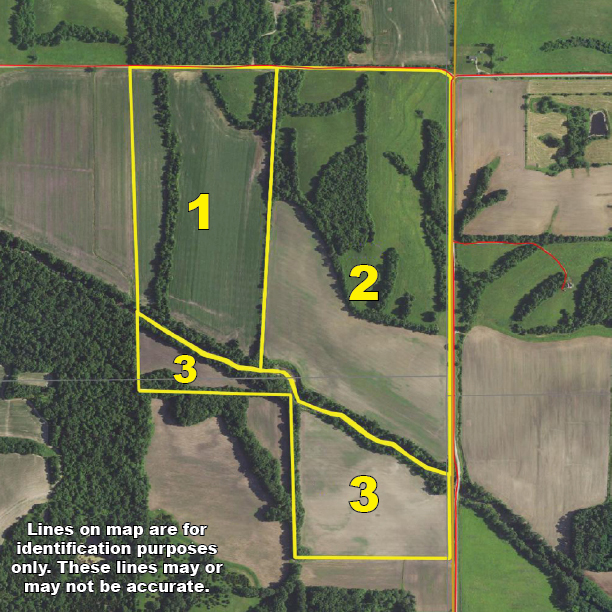 McAfee Hayes Auction Service