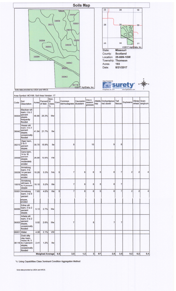 McAfee Hayes Auction Service