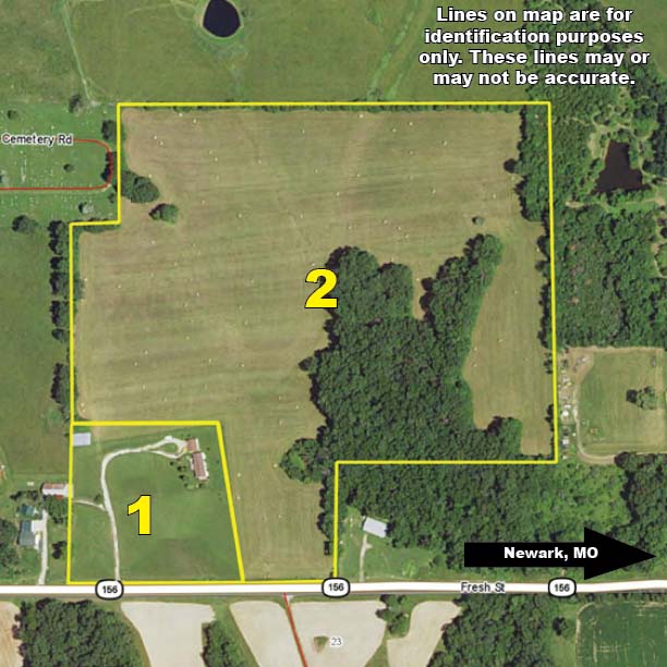 McAfee Hayes Auction Service